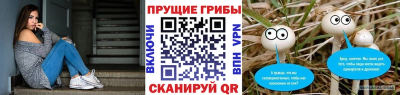 Галлюциногенные грибы Cubensis  цены наркотик  Калининград 
