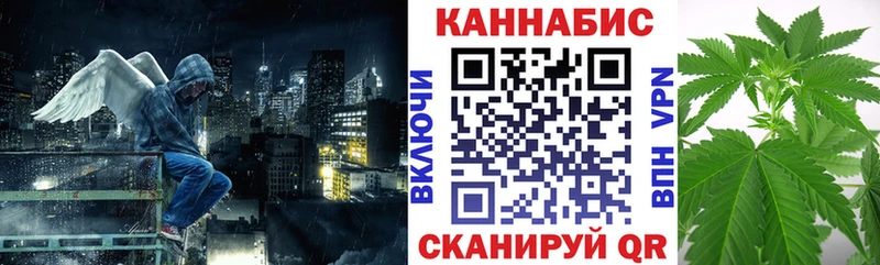 Каннабис OG Kush  Калининград 